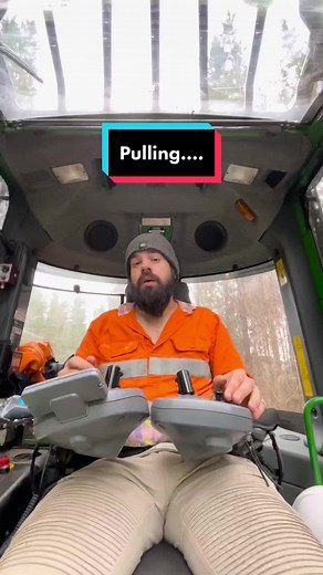 Timber Logging Experience in Australia