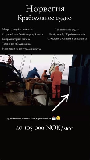 Video's van Global Connect (@global.connect20) met Bulgarian Trap - Kutmoon