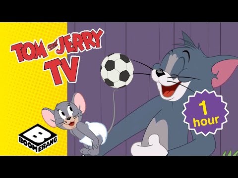 Tom and Jerry Try Every Sport They Can | Sporty BINGE | Tom & Jerry | Boomerang