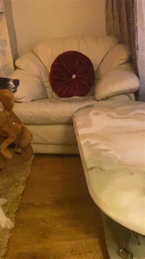 124 reactions · 13 comments | Barney watching Alice in Wonderland #aliceinwoderland #reactionReact | Stephen Kelleher | Facebook