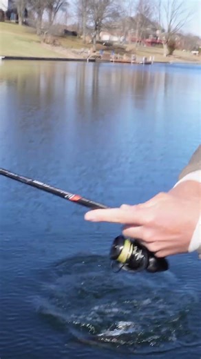 That's a bass? Pro's vs Con(nor)'s Livescope Challenge #fishing #bassfishing #livescope