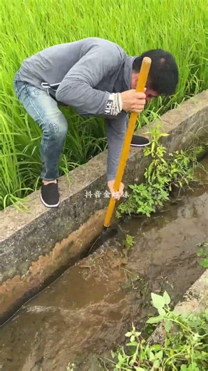 🚜🌱 Waterway Canal Bed Maintenance Using Hand Shovel