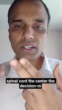 Reflex | Definition | Components | brain involved | Protective mechanism| #neetaspirents