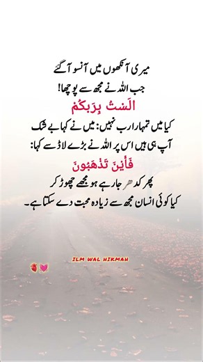 Beautiful Words #islamicvideo #islamicstatus #islamicreminder #muslimcontent #shortsfeed #shorts