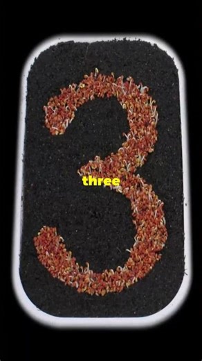 Top 3 AI Tools for Making Money in 2025