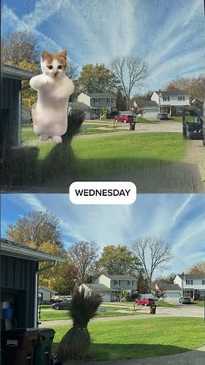 Window Repair in Ohio – Fixing Foggy, Broken & Stuck Windows Every Day!