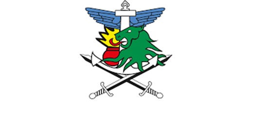 Cameroun / MINDEF : tests Psychotechniques de l'Armée de l'Air 2025