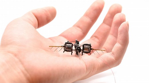 MIT’s robot bees hover for 17 mins, break pollination tech record