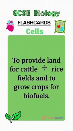 Cell biology revision flashcards GCSE #education #revision #combinedscience