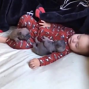 So jealous of this baby right now! 😍🐶 | VT