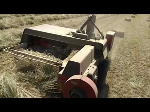 Haymaking UK June 2018 - IH International 430 baler tackling a heavy crop - conventional small bales