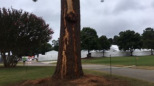 Play resumes Sunday after PGA TOUR Championship lightning strike