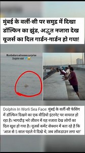 मुंबई के वर्ली-सी पर समुद्र में दिखा डॉल्फिन का झुंड, #mumbai #dolfin #shortsfeed