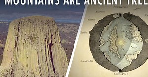 The Strange Theory That Mountains Are Trees (  Other Bizarre Mysteries) | Articles on WatchMojo.com