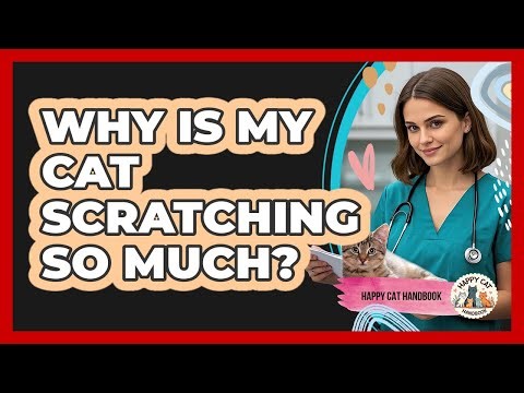 Why Is My Cat Scratching So Much?