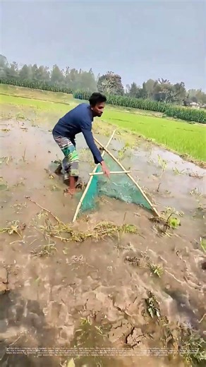 Netting Nature's Bounty: How Traditional Fishing Techniques Sustain Communities