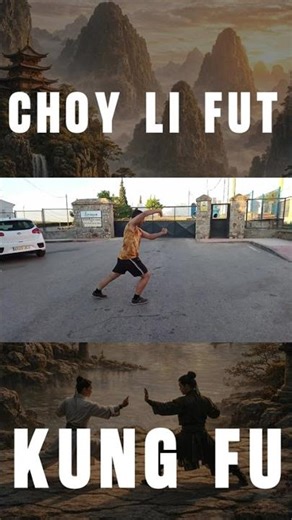 Sifu Ángel García de la Casa performing the first Choy Li Fut Form / Scheme