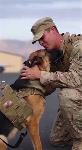 A Soldier’s Tearful Goodbye to His K9 Hero