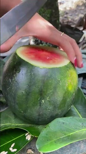 Watermelon Fruit #watermelon