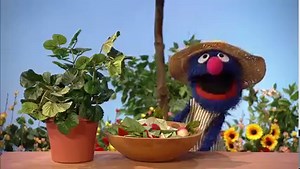 42K views · 1K shares | Greetings, nature lovers! Our favorite greenthumb monster Grover is here with gardening tips to help your plants grow healthy and strong! | Sesame Street | Facebook