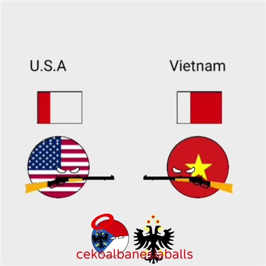 USA VS 2 country IB:@VASTERS-149 |#countryballs #animation