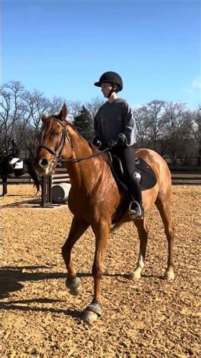 Lot 22 V4 Auction December 2025