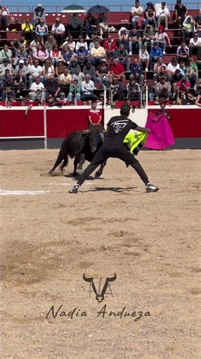 Se pone delante de este gran toro #toros #bull #viral #increible