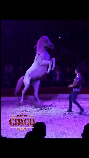 Circo Con Animales 🎪❤️ Deja tu comentario!👇🏽 #circo #fyp #zonadecirco #viral #animales #parati #caballos #caballosespañoles #animalesfantásticos #domadores | Zona De Circo