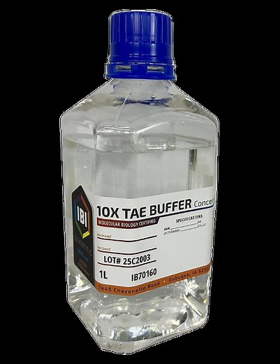 10X TAE Buffer