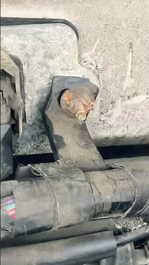 05-06 Ford Escape Ecm Removal