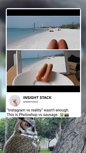 Instagram vs. Sausage: The Truth Revealed! 🌭😂