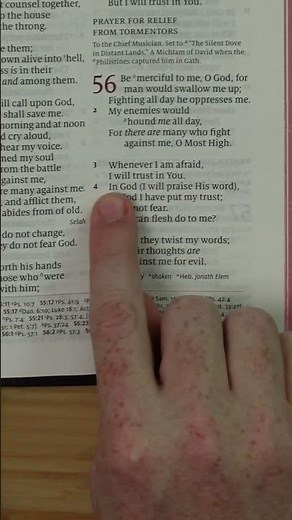 Psalm 56:3 • Bible Verse of the Day