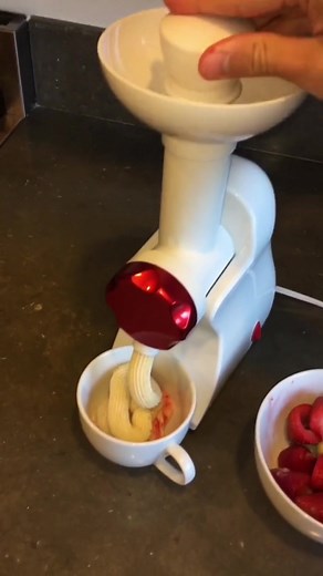 La Reveuse Frozen Fruit Dessert Maker