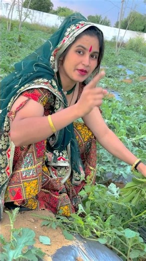 tell me who is sitting there🤨Manraj Deewana ringtone√√Manraaj new status√√Manraj deevana#shortsfe...