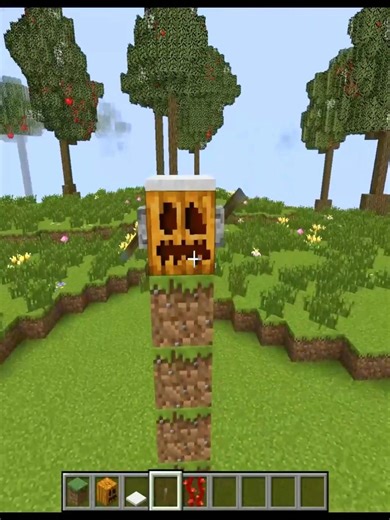 1 Hope 1 Subs☹️😭 in Minecraft #shorts #minecraft