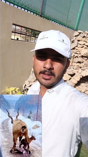 #ye Dekho mery Rab qudrat######