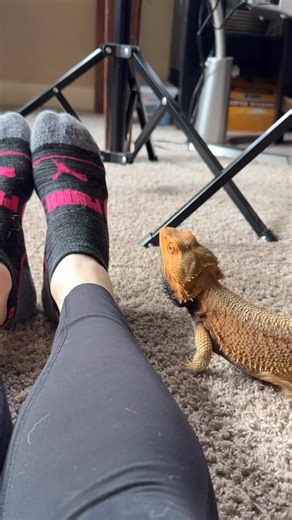 2.4M views · 2.8K reactions | Boot sock season has come to a temporary halt here in Washington, spring vibes have taken over. For now, it’s back to Puma socks until the cold returns! | Valerie Musser | Facebook