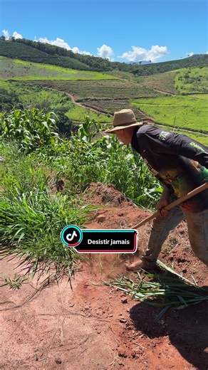 A Importância da Agricultura e do Trabalho Manual