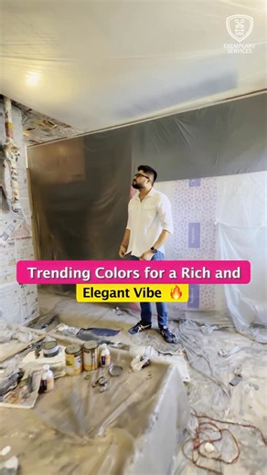 Alok Bhadane on Instagram: "Trending Wall Colors That Instantly Elevate Your Space ✨🔥 Your walls set the mood for your entire home. Choosing the right shade isn’t just about color—it’s about creating a vibe that feels rich, timeless, and elegant. Here are some trending shades for 2025 that designers are loving right now: 1️⃣ Silk Route (0N13) – A calm, sophisticated neutral that pairs beautifully with wood and earthy tones. Perfect for living rooms and bedrooms. 2️⃣ Dusky Iris (7235) – A soft g