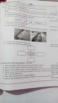 SCIENCE -2 SSC BOARD QUESTION PAPER 2025