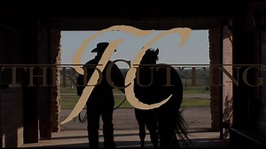 THIRD CUTTING's 2018 fee is now officially $2,000!! Sandance Equine has big big plans for their stallions, we very much appreciate mare owners support! Third Cutting is without question one of the greatest show horses of all time and is an elite MILLIONAIRE Sire!! | SDP Buffalo Ranch