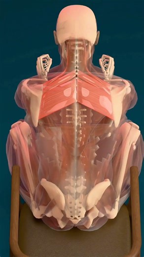 fitness like, follow#viral #workout #fitness #core #discipline #fyp