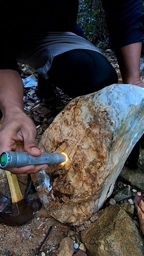 I checked all the stones to find jade #diamond #jade #gemstones #agate #crystal #petrifiedwood | Yendri Oktaviandi