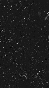 Realistic dust particles on dark background. Abstract animation. White and glow dust particle abstract on black background