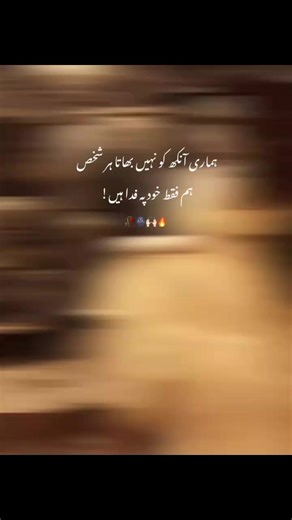 TikTok View Problem Explained