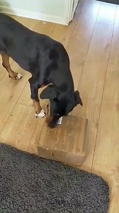 Miracle's Mission on Reels