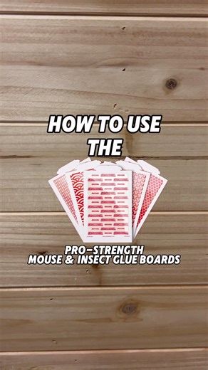 Mice and insects moving in? Stop them like a pro in three easy steps. 💪 The Catchmaster Pro-Strength Mouse & Insect Glue Boards are the same exact glue traps that a pest control professional would use in your home, making them an incredibly effective solution for pest prevention and monitoring on your own. Get yours now: https://ow.ly/LjEz50X1FBc #pestcontrol #threesteps #howto #Catchmaster | Catchmaster