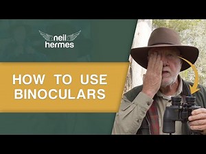 How To Use Binoculars For Bird Watching - A Beginners Guide!