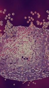 5.7K views · 95 reactions | Histamine intolerance happens when your...