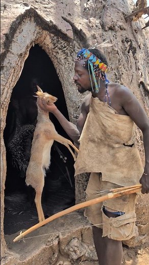 Bushmen Successful hunting very incredible hunting #africa